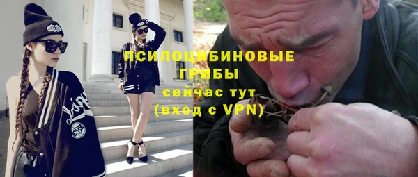 ГАЛЛЮЦИНОГЕННЫЕ ГРИБЫ Алексин