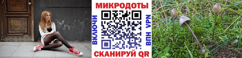 Галлюциногенные грибы Magic Shrooms  что такое наркотик  гидра как зайти  Бирюч 